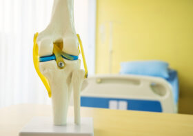 Modele anatomiczne — Innowacyjne wizualizacje anatomiczne układu pokarmowego