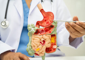 Modele anatomiczne – podstawa do poznania biologicznego organizmu w nauce, dziedzinie zdrowia oraz kształceniu.